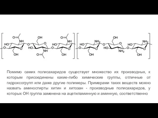 Помимо самих полисахаридов существует множество их производных, к которым присоединены какие-либо химические