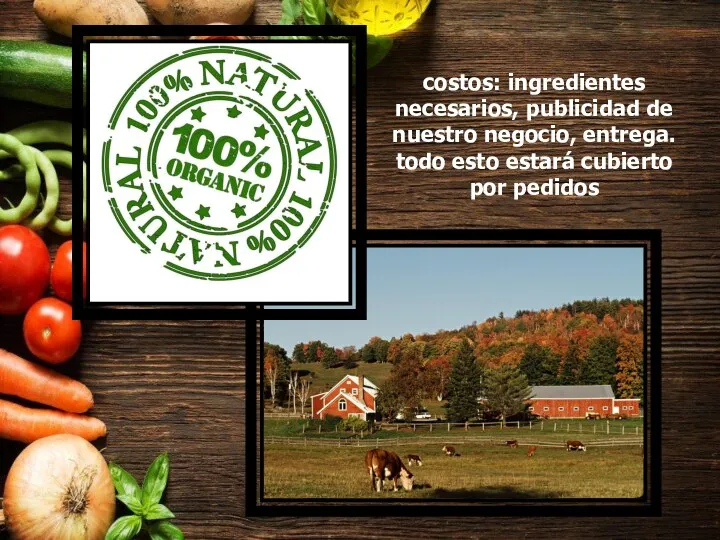 costos: ingredientes necesarios, publicidad de nuestro negocio, entrega. todo esto estará cubierto por pedidos