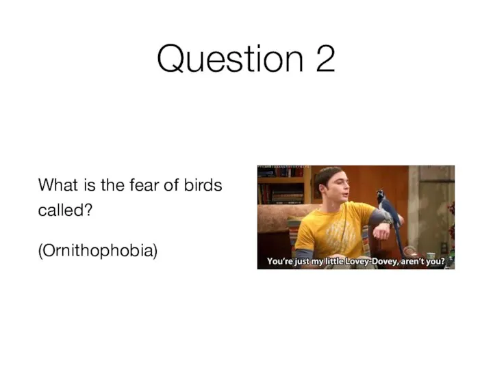 Question 2 What is the fear of birds called? (Ornithophobia)