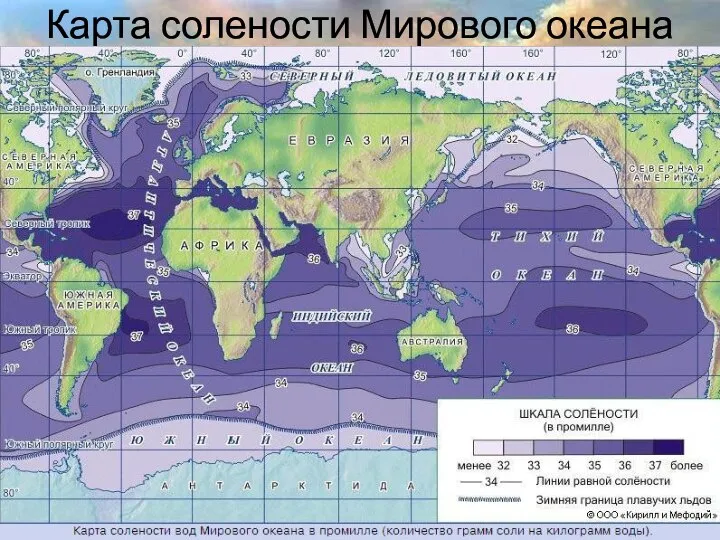 Карта солености Мирового океана