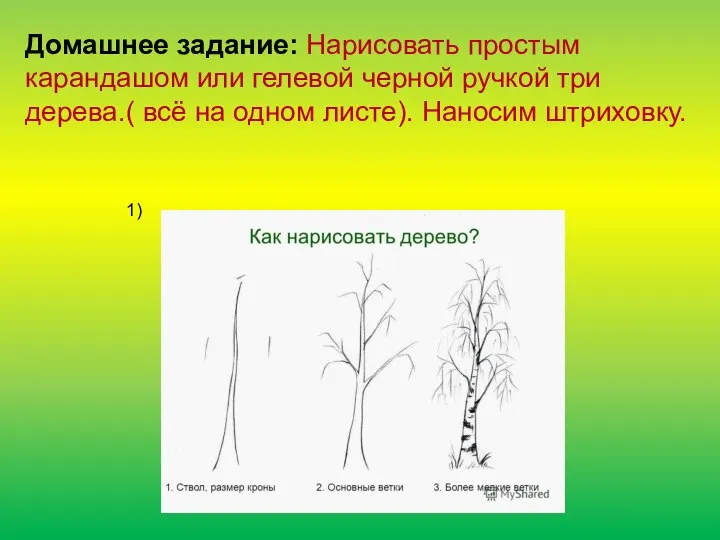 Домашнее задание: Нарисовать простым карандашом или гелевой черной ручкой три дерева.( всё