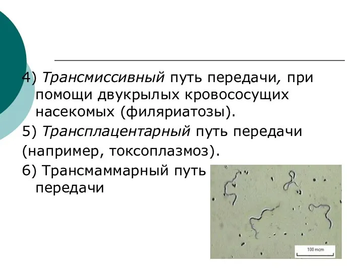 4) Трансмиссивный путь передачи, при помощи двукрылых кровососущих насекомых (филяриатозы). 5) Трансплацентарный