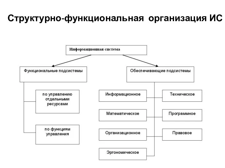 Структурно-функциональная организация ИС