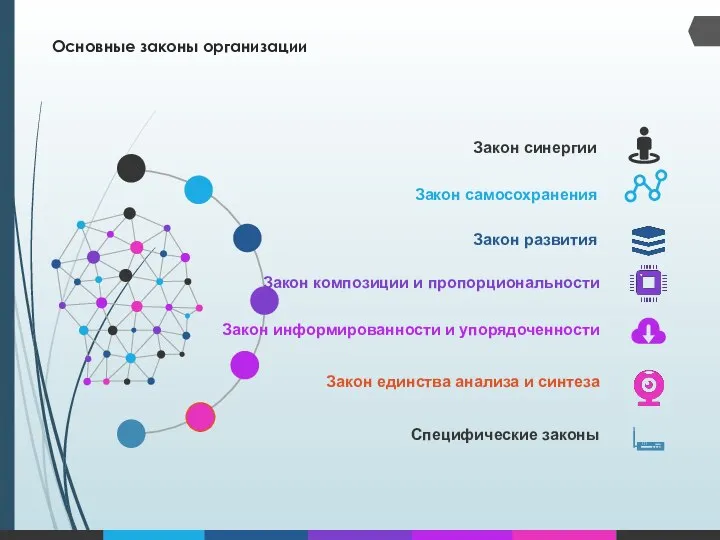 Основные законы организации Специфические законы Закон самосохранения Закон развития Закон композиции и