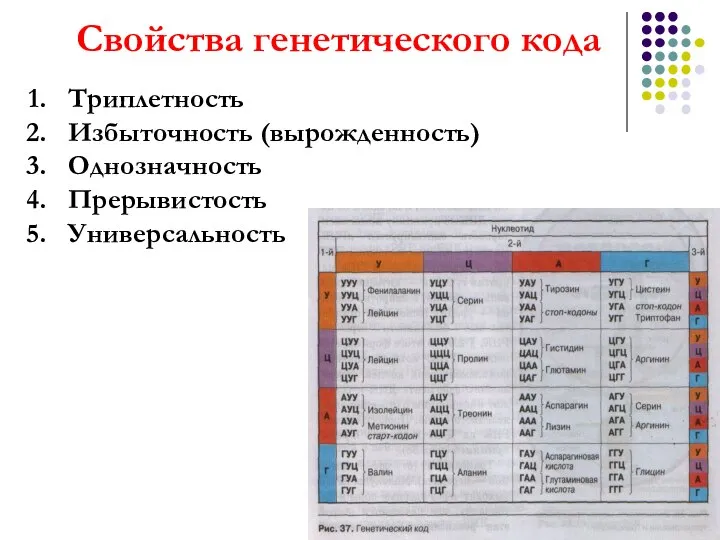 Свойства генетического кода Триплетность Избыточность (вырожденность) Однозначность Прерывистость Универсальность