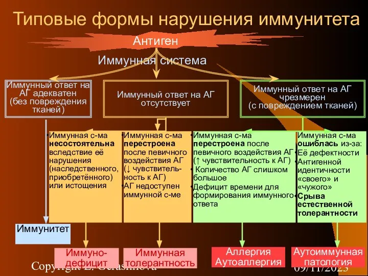 09/11/2023 Copyright L. Gerasimova Типовые формы нарушения иммунитета Антиген Иммунная система Иммунный