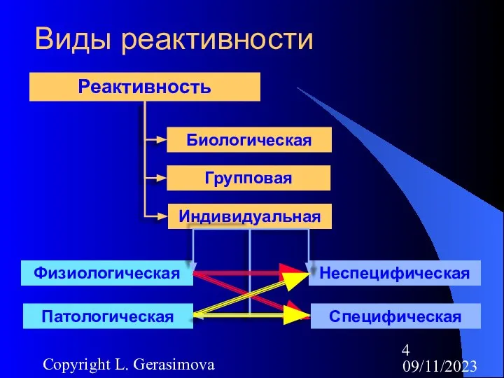 09/11/2023 Copyright L. Gerasimova Виды реактивности Реактивность Групповая Индивидуальная Биологическая Специфическая Неспецифическая Патологическая Физиологическая