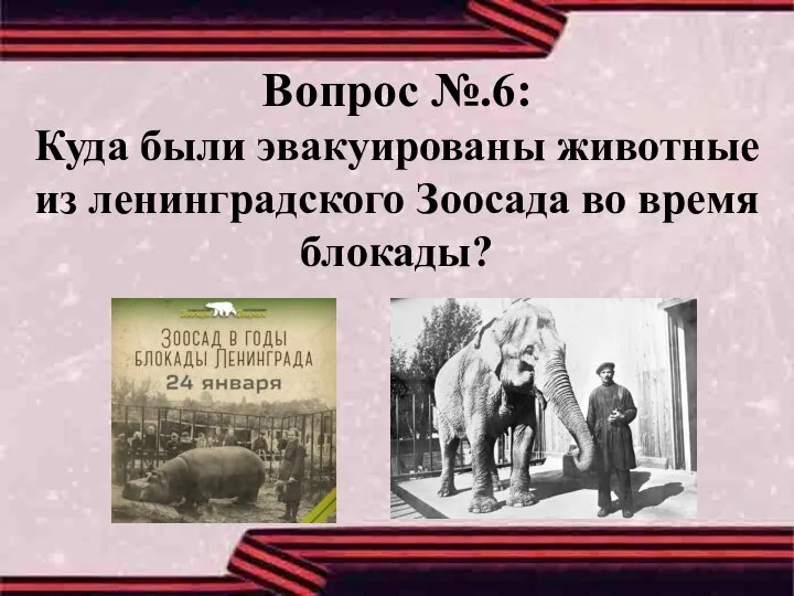 Вопрос №.6: Куда были эвакуированы животные из ленинградского Зоосада во время блокады?