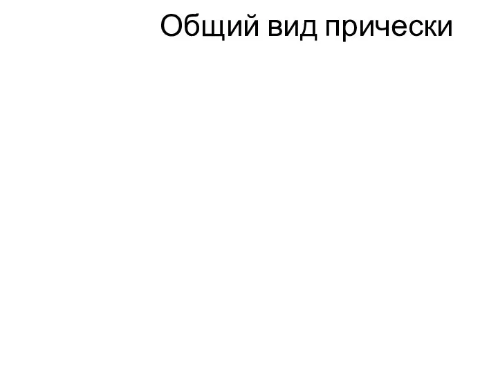 Общий вид прически