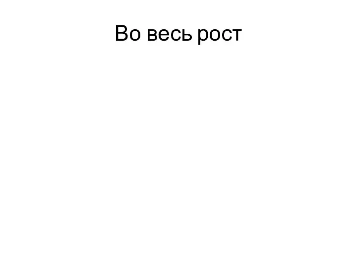 Во весь рост