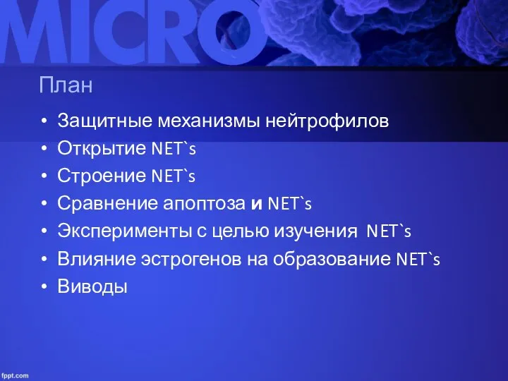 План Защитные механизмы нейтрофилов Открытие NET`s Строение NET`s Сравнение апоптоза и NET`s