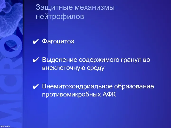 Защитные механизмы нейтрофилов Фагоцитоз Выделение содержимого гранул во внеклеточную среду Внемитохондриальное образование противомикробных АФК