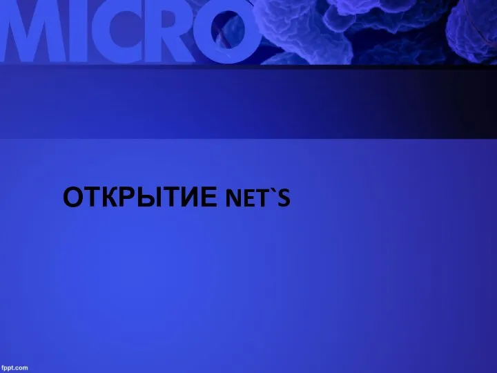 ОТКРЫТИЕ NET`S