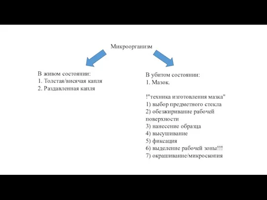 Микроорганизм В живом состоянии: 1. Толстая/висячая капля 2. Раздавленная капля В убитом