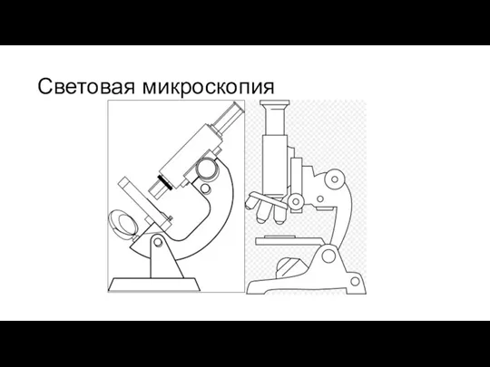 Световая микроскопия