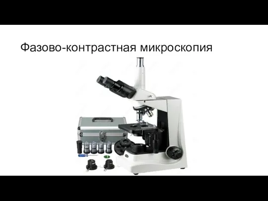 Фазово-контрастная микроскопия