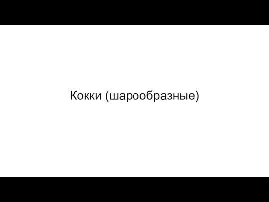 Кокки (шарообразные)