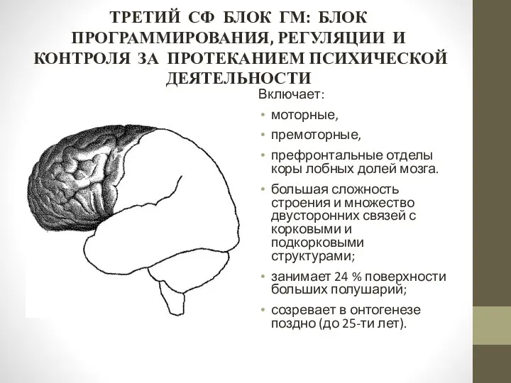 ТРЕТИЙ СФ БЛОК ГМ: БЛОК ПРОГРАММИРОВАНИЯ, РЕГУЛЯЦИИ И КОНТРОЛЯ ЗА ПРОТЕКАНИЕМ ПСИХИЧЕСКОЙ