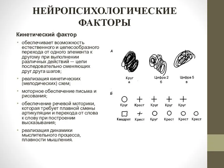 НЕЙРОПСИХОЛОГИЧЕСКИЕ ФАКТОРЫ Кинетический фактор обеспечивает возможность естественного и целесообразного перехода от одного