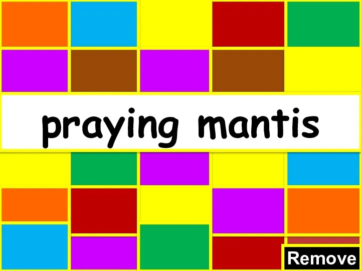 Remove praying mantis