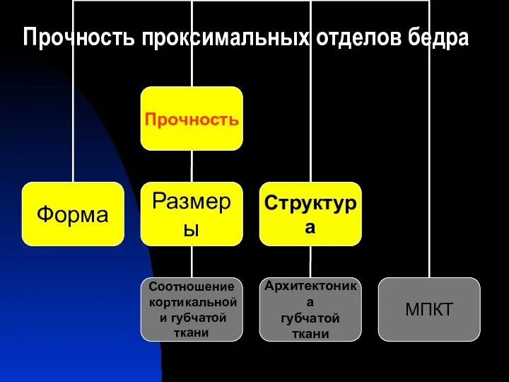 Прочность проксимальных отделов бедра