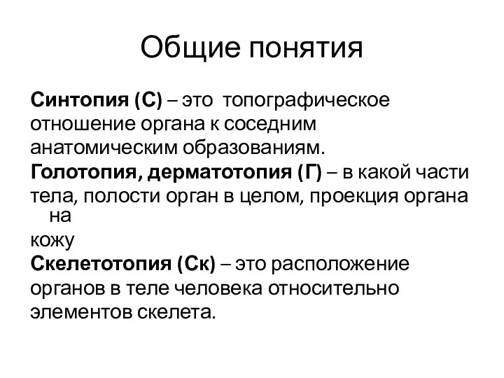 Общие понятия Синтопия (С) – это топографическое отношение органа к соседним анатомическим