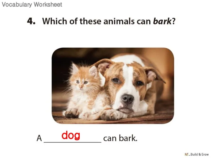 dog Vocabulary Worksheet