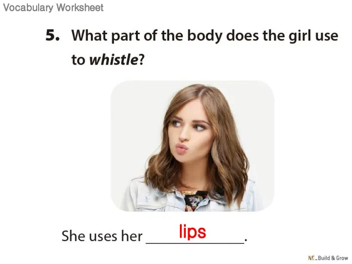 lips Vocabulary Worksheet
