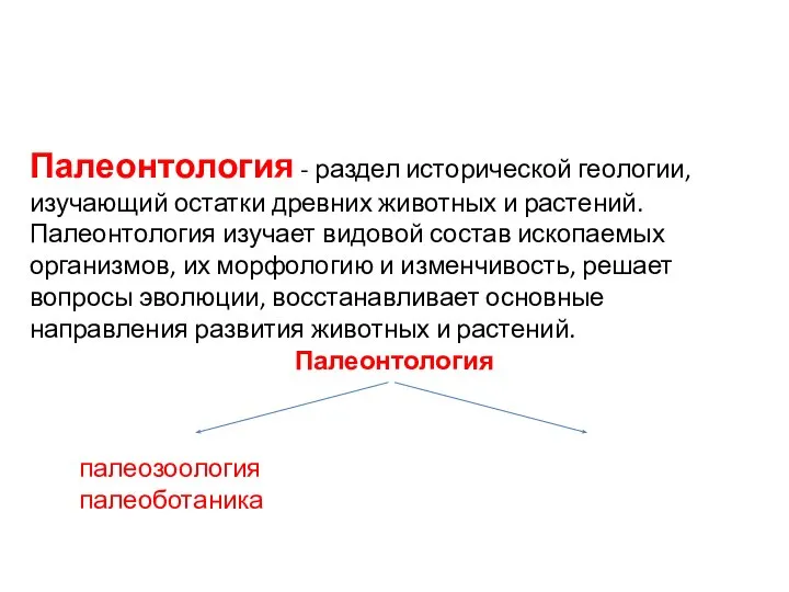 Палеонтология - раздел исторической геологии, изучающий остатки древних животных и растений. Палеонтология