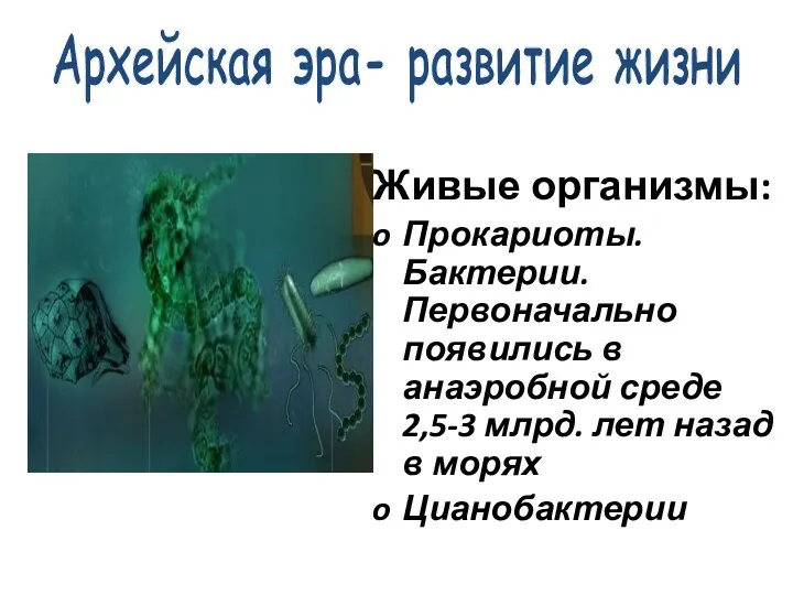 Живые организмы: Прокариоты. Бактерии. Первоначально появились в анаэробной среде 2,5-3 млрд. лет