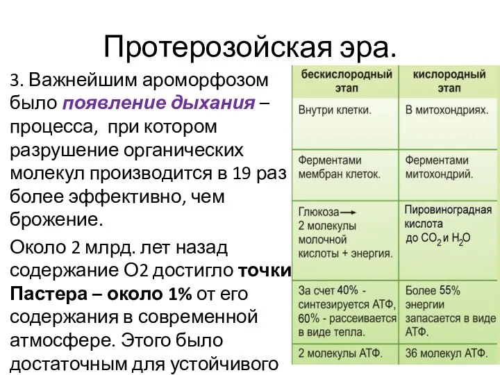 Протерозойская эра. 3. Важнейшим ароморфозом было появление дыхания – процесса, при котором