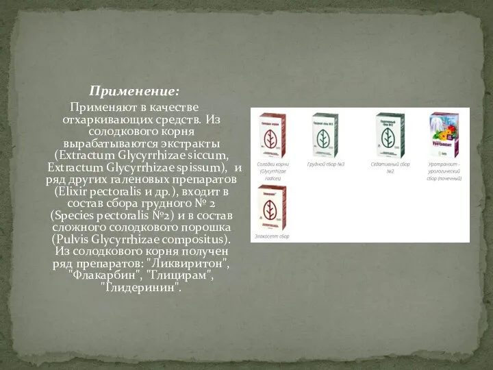 Применение: Применяют в качестве отхаркивающих средств. Из солодкового корня вырабатываются экстракты (Extractum