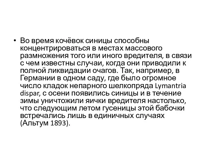 Во время кочёвок синицы способны концентрироваться в местах массового размножения того или