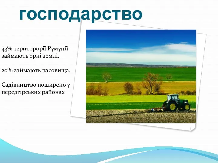Сільське господарство 43% територорії Румунії займають орні землі. 20% займають пасовища. Садівництво поширено у передгірських районах