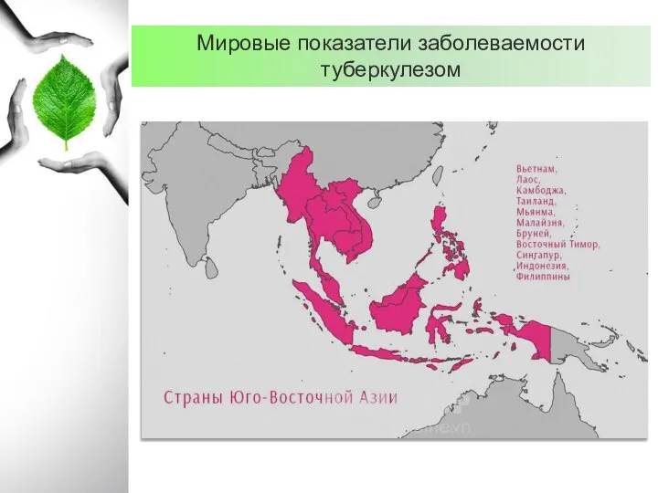 Мировые показатели заболеваемости туберкулезом