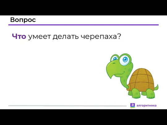 Вопрос Что умеет делать черепаха?