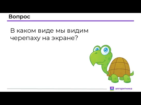 Вопрос В каком виде мы видим черепаху на экране?