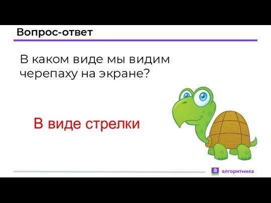 Вопрос-ответ В каком виде мы видим черепаху на экране? В виде стрелки