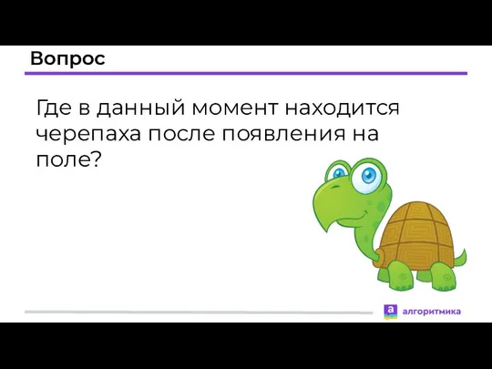 Вопрос Где в данный момент находится черепаха после появления на поле?