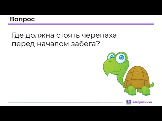 Вопрос Где должна стоять черепаха перед началом забега?