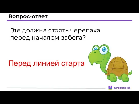 Вопрос-ответ Где должна стоять черепаха перед началом забега? Перед линией старта