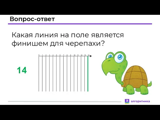 Вопрос-ответ Какая линия на поле является финишем для черепахи? 14