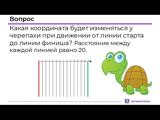 Вопрос Какая координата будет изменяться у черепахи при движении от линии старта