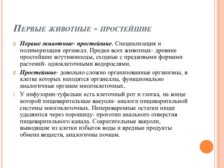 Первые животные - простейшие Первые животные- простейшие. Специализация и полимеризация органелл. Предки