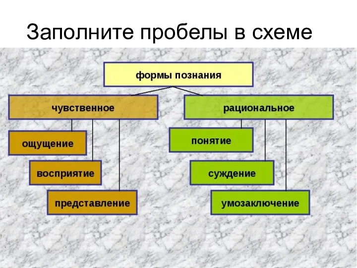 Заполните пробелы в схеме