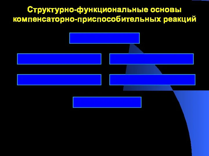 Регенерация Гипертрофия Организация Структурно-функциональные основы компенсаторно-приспособительных реакций Метаплазия Гиперплазия Инкапсуляция