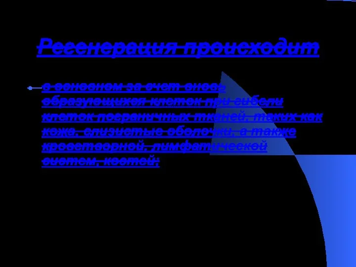 Регенерация происходит в основном за счет вновь образующихся клеток при гибели клеток