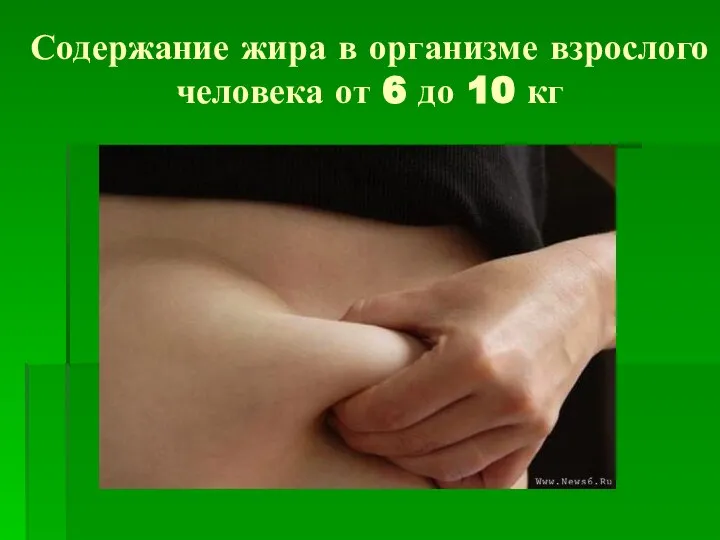 Содержание жира в организме взрослого человека от 6 до 10 кг
