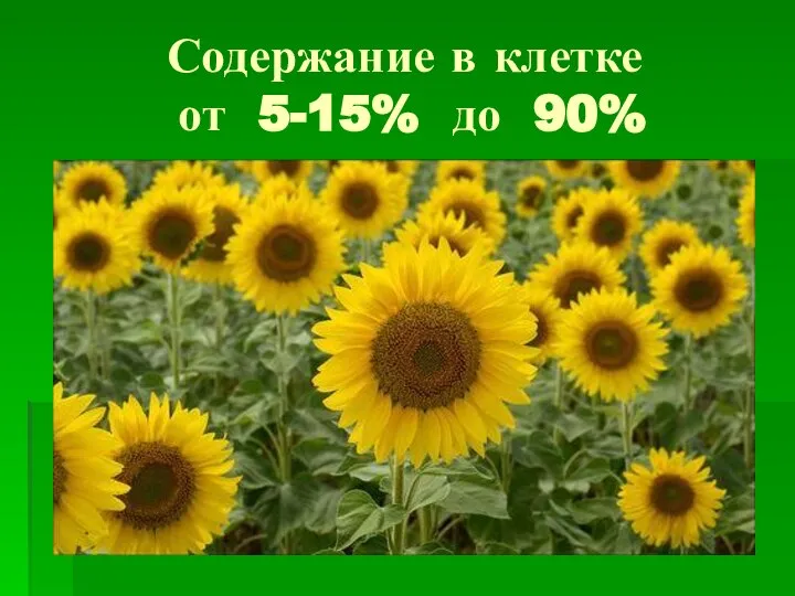 Содержание в клетке от 5-15% до 90%