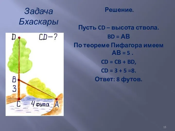 Задача Бхаскары Решение. Пусть CD – высота ствола. BD = АВ По